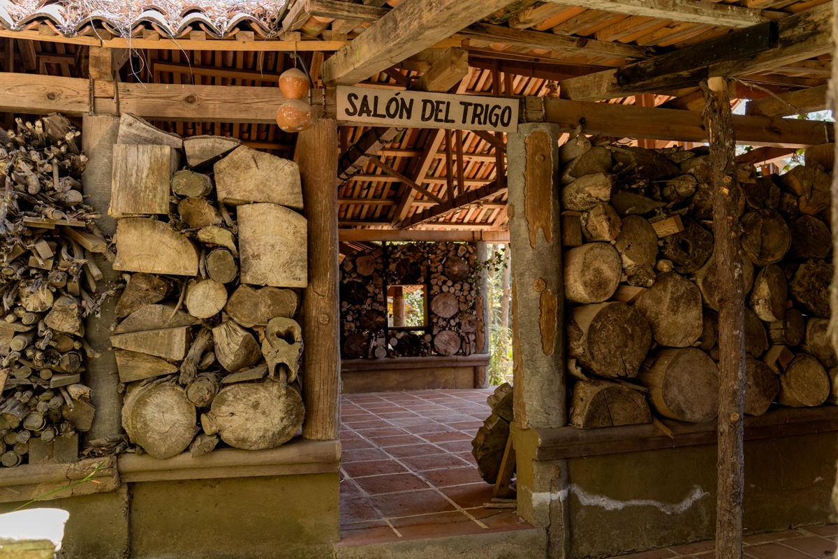 Salón Trigo - Foto 3